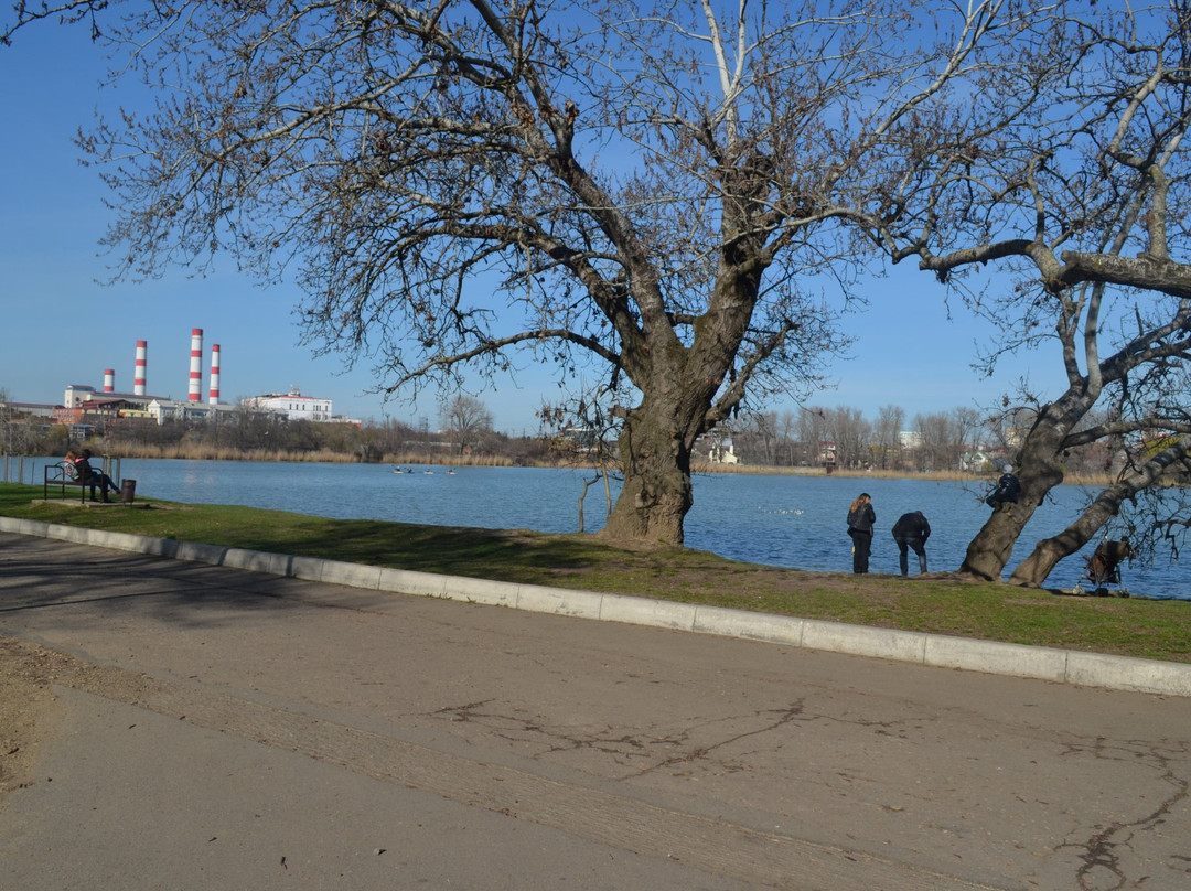 The Solnechny Ostrov (Sunny Island) Park景点图片