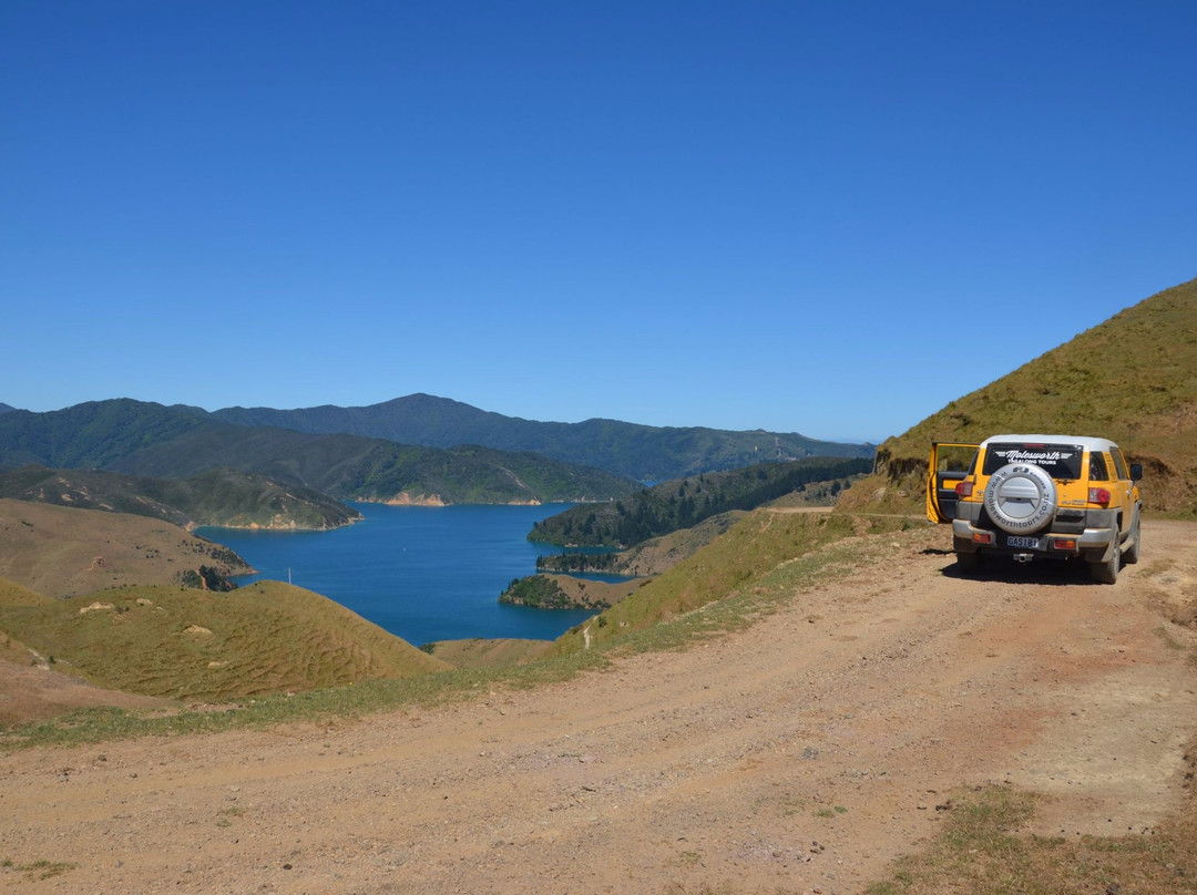 Molesworth High Country Tours-布伦海姆必去景点