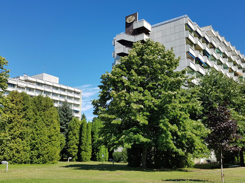 Hotel Festival主图