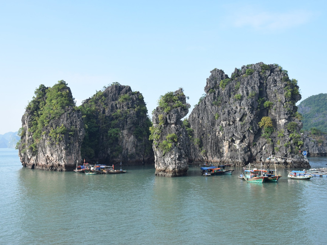 Cua Van Floating Village景点图片