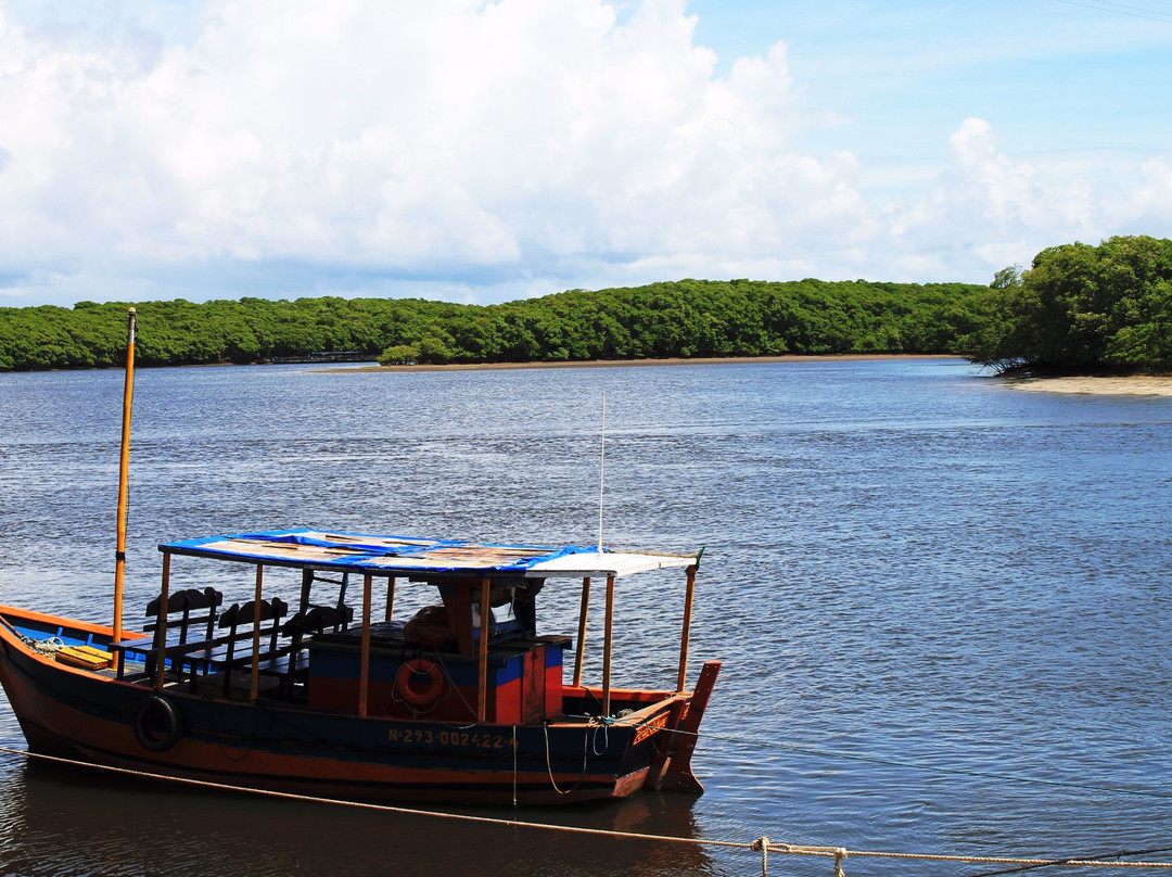 Rio Joao de Tiba景点图片