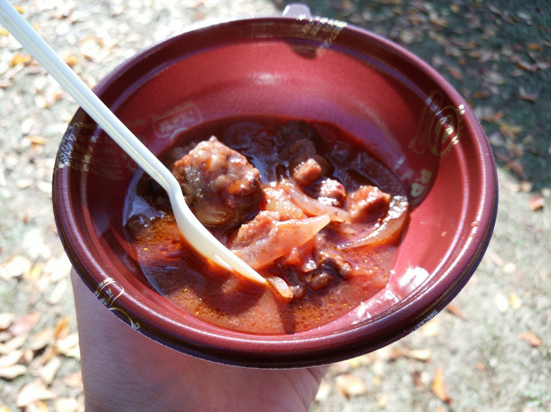 Tokyo University of Foreign Studies-府中市必去景点