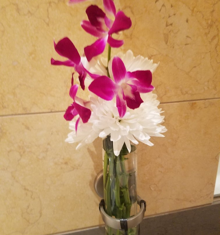 G Spa-马山图克特皮克特必去景点