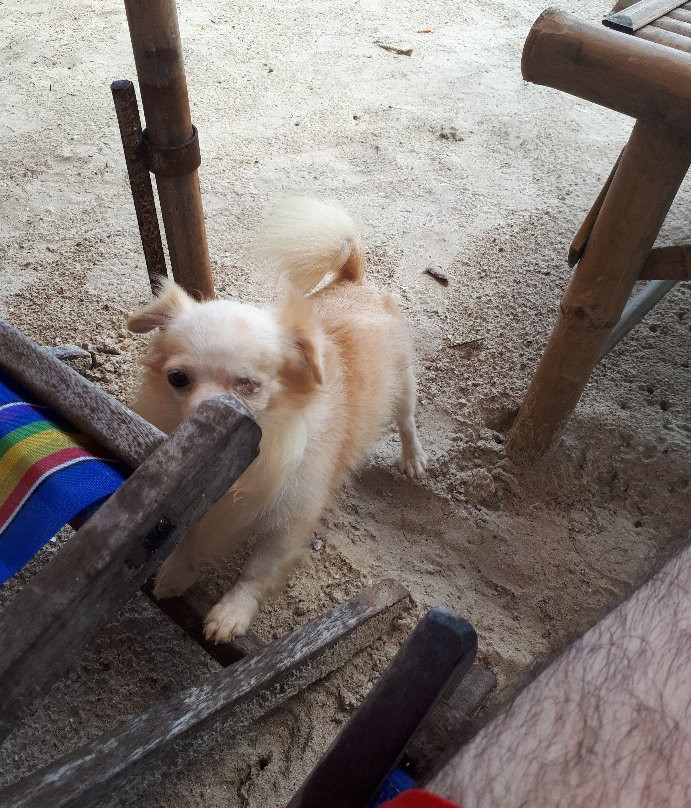 Suan Son-甲铃必去景点