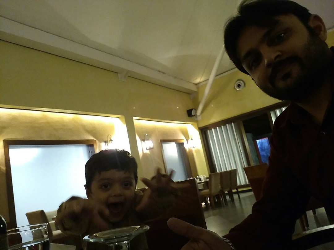 The Celestial Park Hotel主图