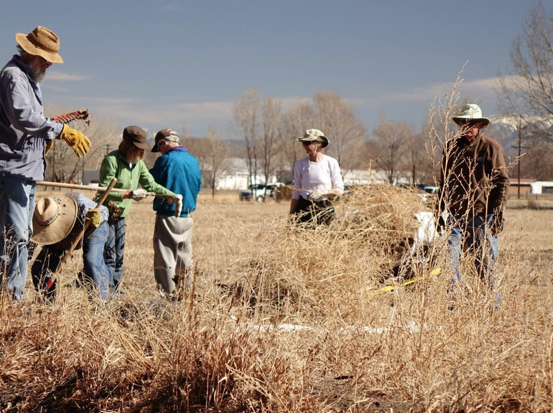 Rio Grande Farm Park-阿拉莫萨必去景点