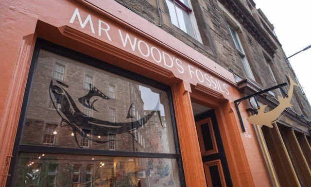 Mr Wood's Fossils-爱丁堡必去景点