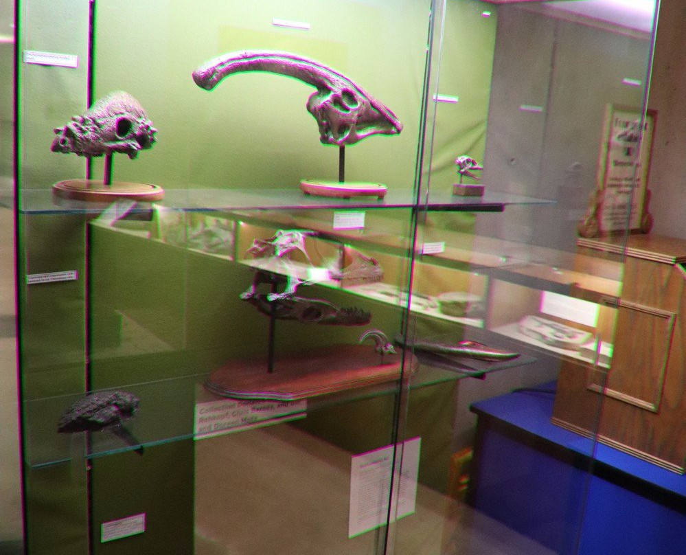 Earth Sciences Museum景点图片