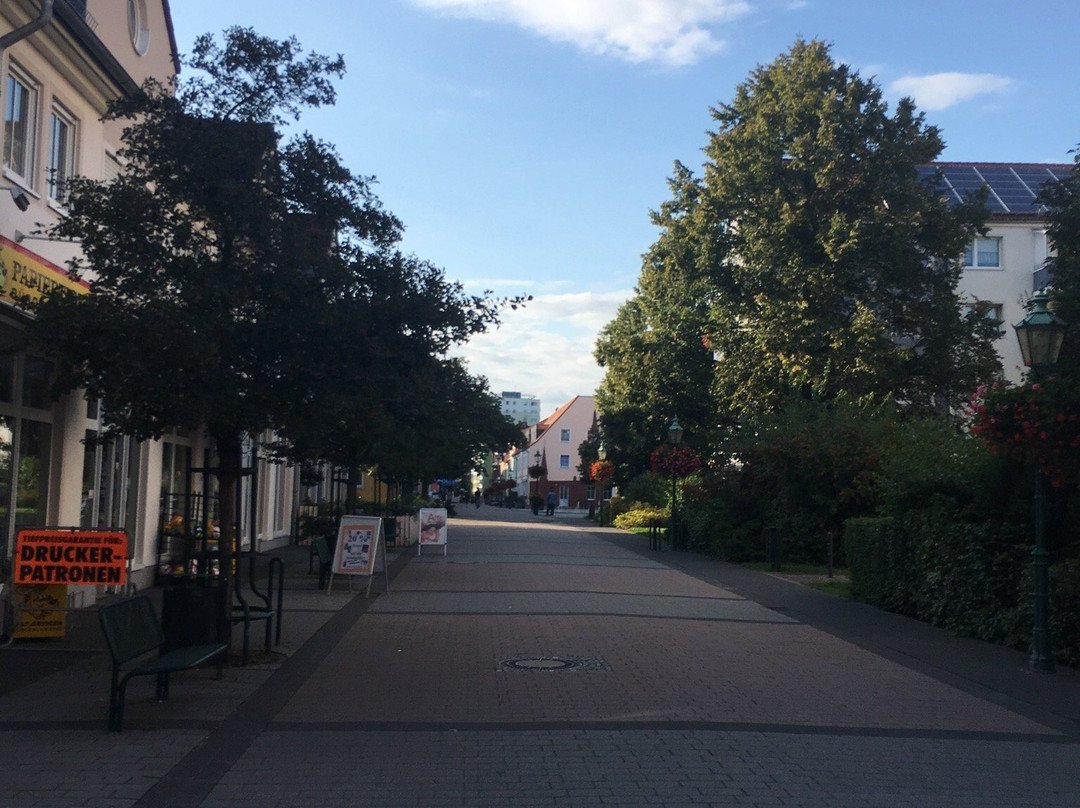 Uckermarkische Buhnen Schwedt景点图片