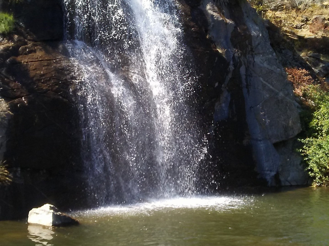 Mirabeau Meadows Park-斯波坎谷必去景点