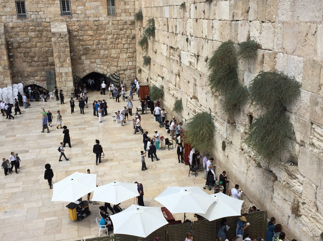 Tell-Don Tours-Zichron Yaakov必去景点