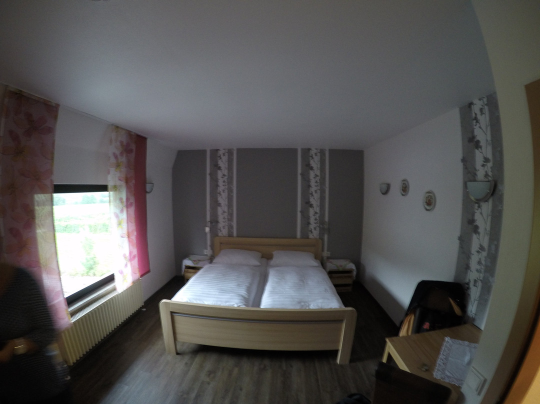 Gästehaus Bollig主图