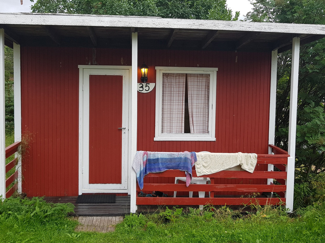 Orsvagvaer