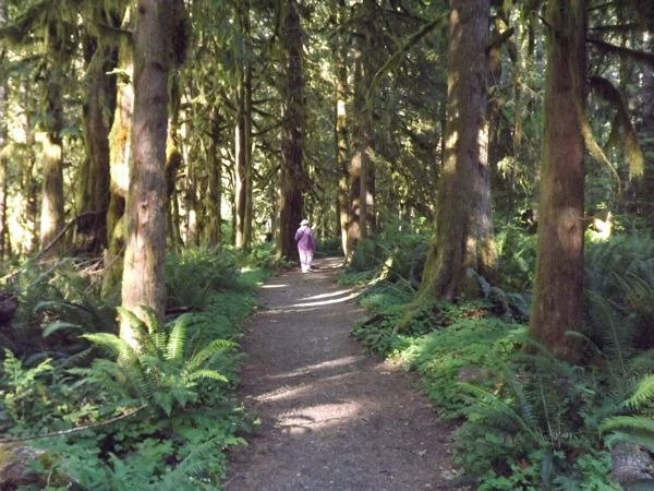 Wildwood Recreation Site-Welches必去景点