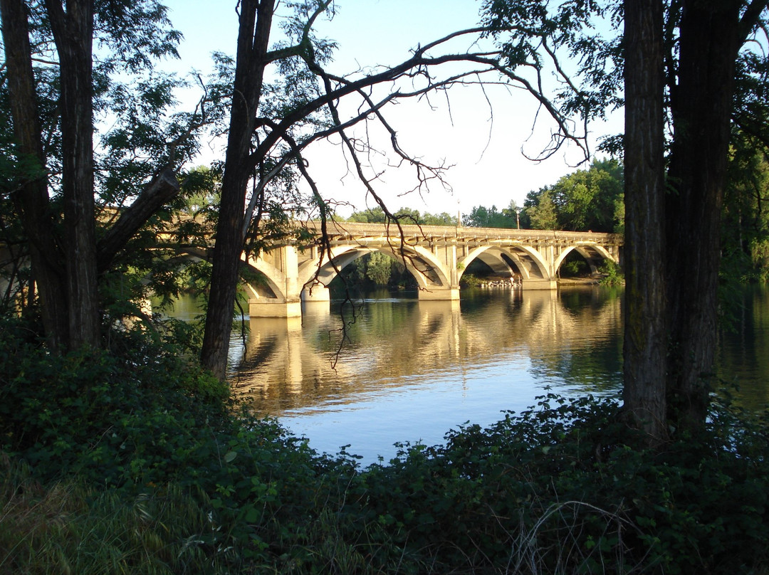 Sacramento River Trail景点图片