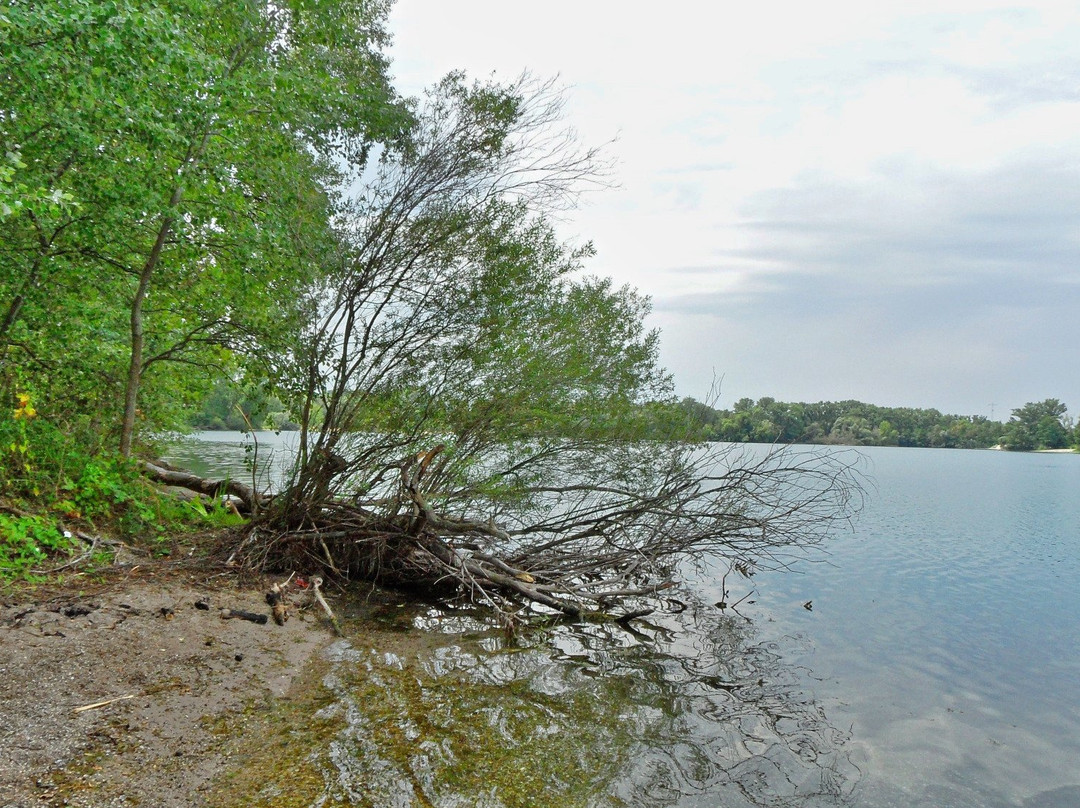 Silbersee-Bobenheim-Roxheim必去景点