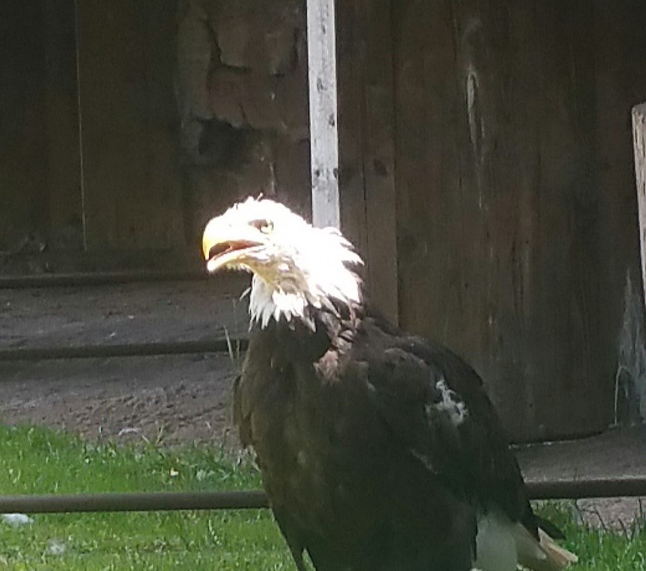 Adler- und Falkenhof-Kranichfeld必去景点
