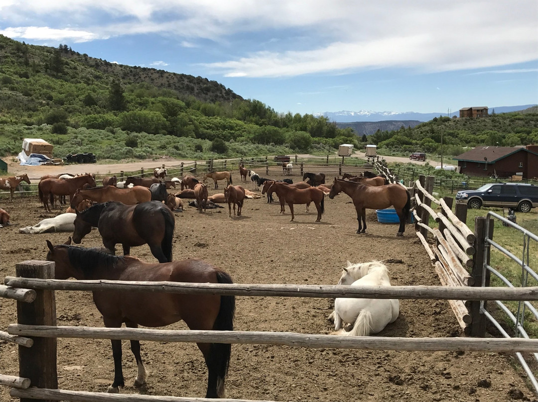 A. J. Brink Outfitters-Gypsum必去景点