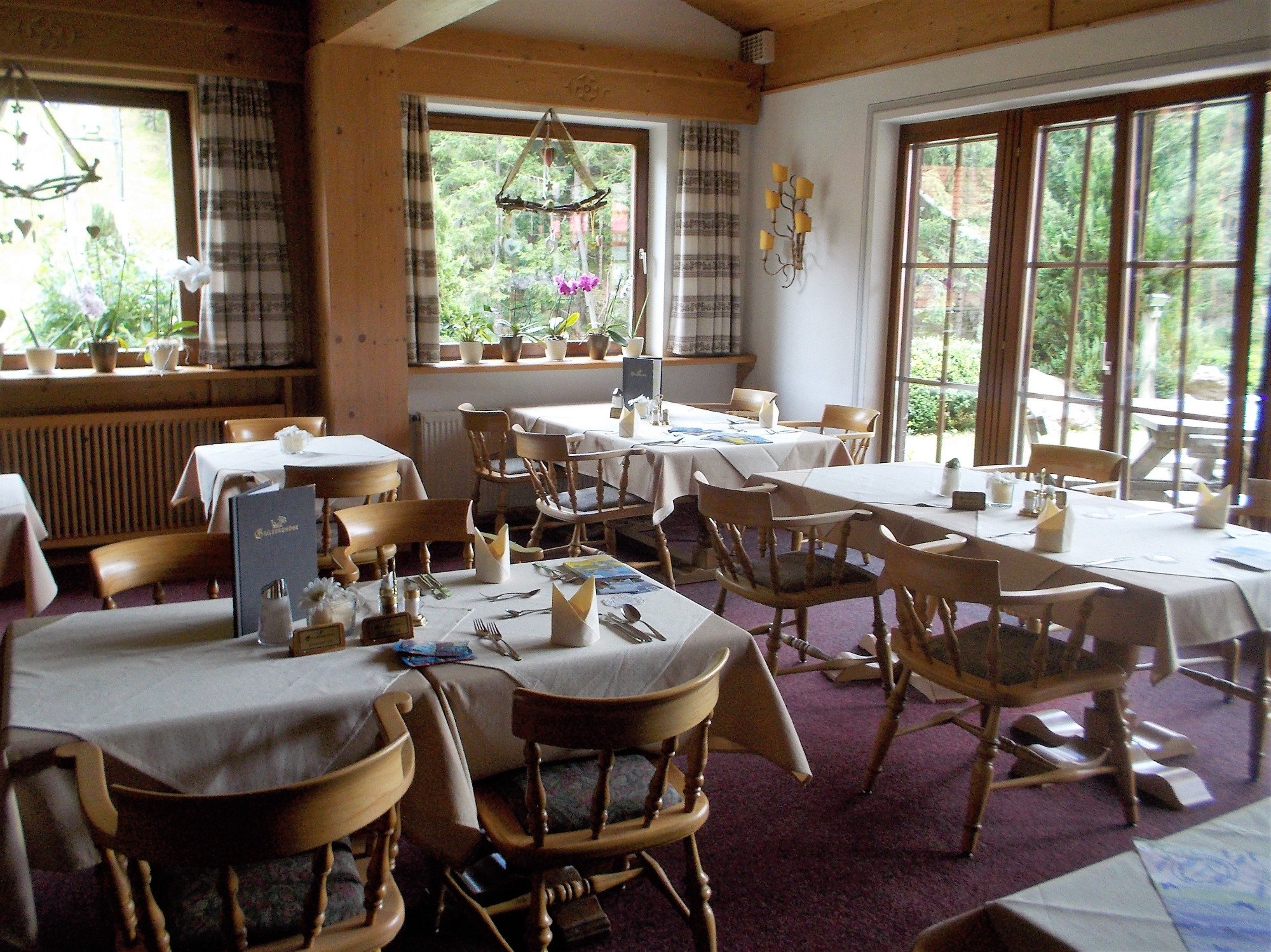 Gailtalerhof-餐饮
