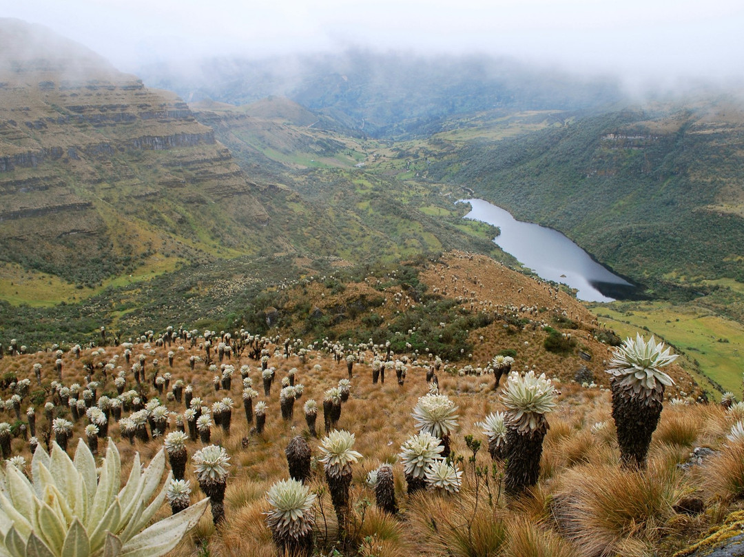 Sogamoso旅游攻略图片