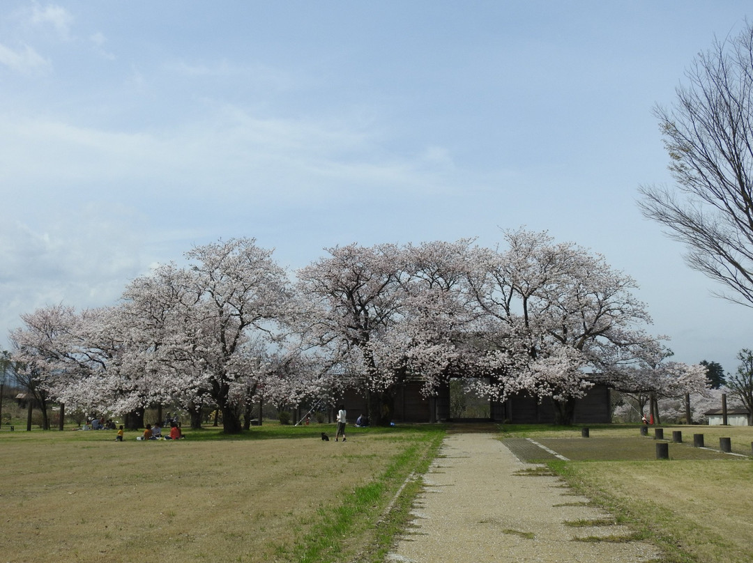 Hoki Kokufu-ato Hokkeji-bata Ancient Ruin景点图片