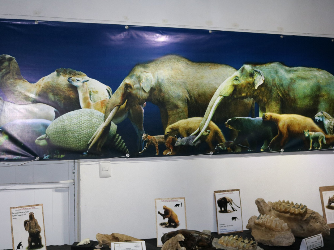 Museo de la Prehistoria Parque Dos Ojos-图伦必去景点