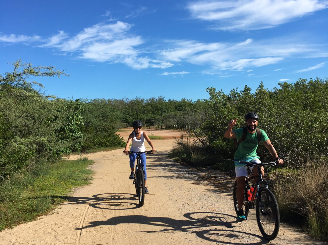 Puerto Rico Bike Adventures-Cabo Rojo必去景点