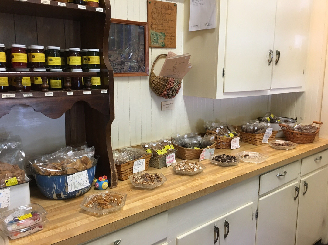 Punta Clara Kitchen-Point Clear必去景点