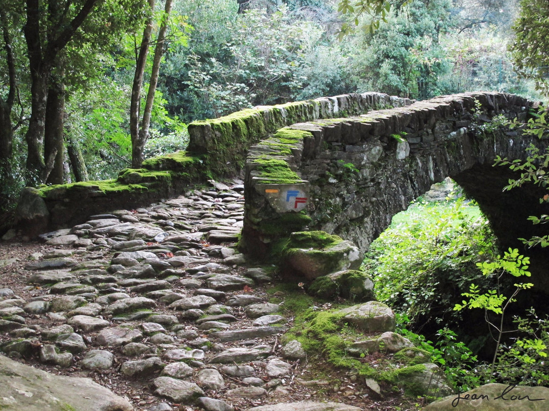 Sisco酒店住宿-U Pozzu