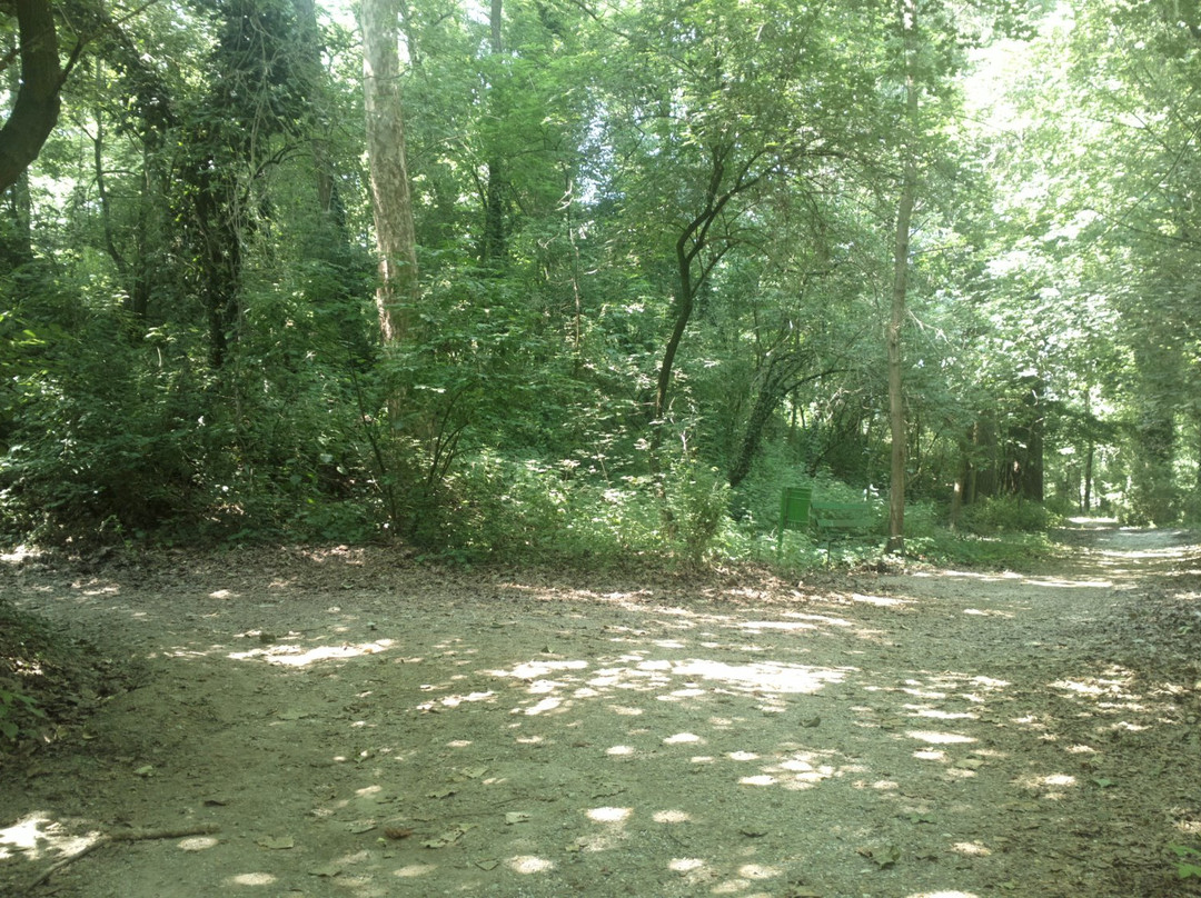 Parco delle Vincellate景点图片