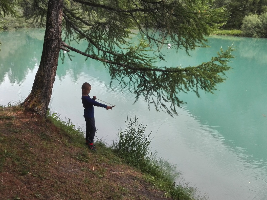 Waterski Schalisee-塔什必去景点