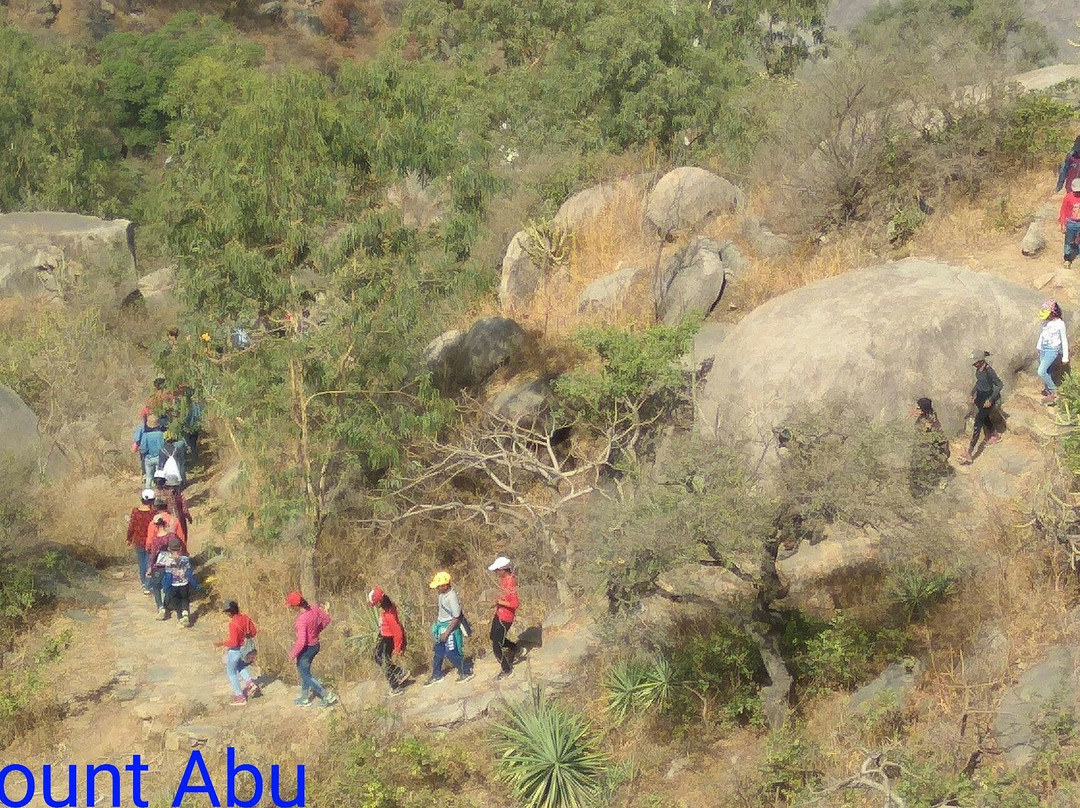 Mount Adventure Camp景点图片