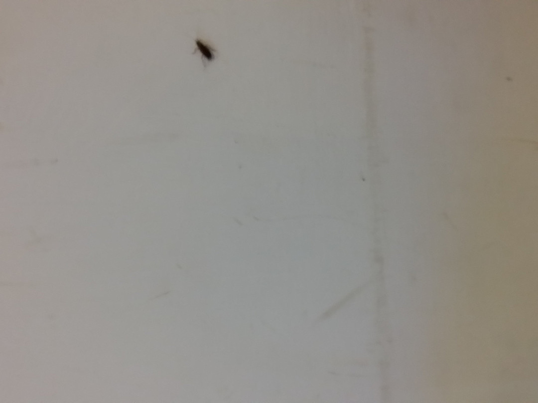 Hotel Southern Grand主图