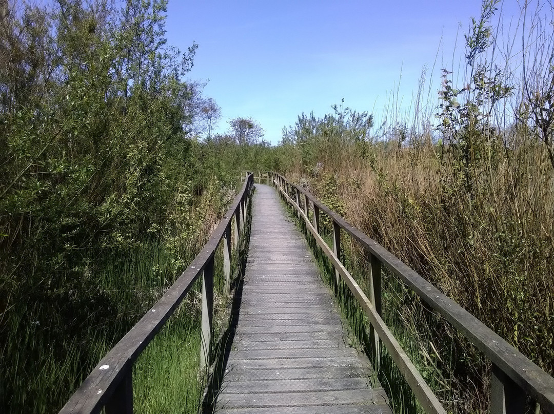 Filey Dams Nature Reserve景点图片