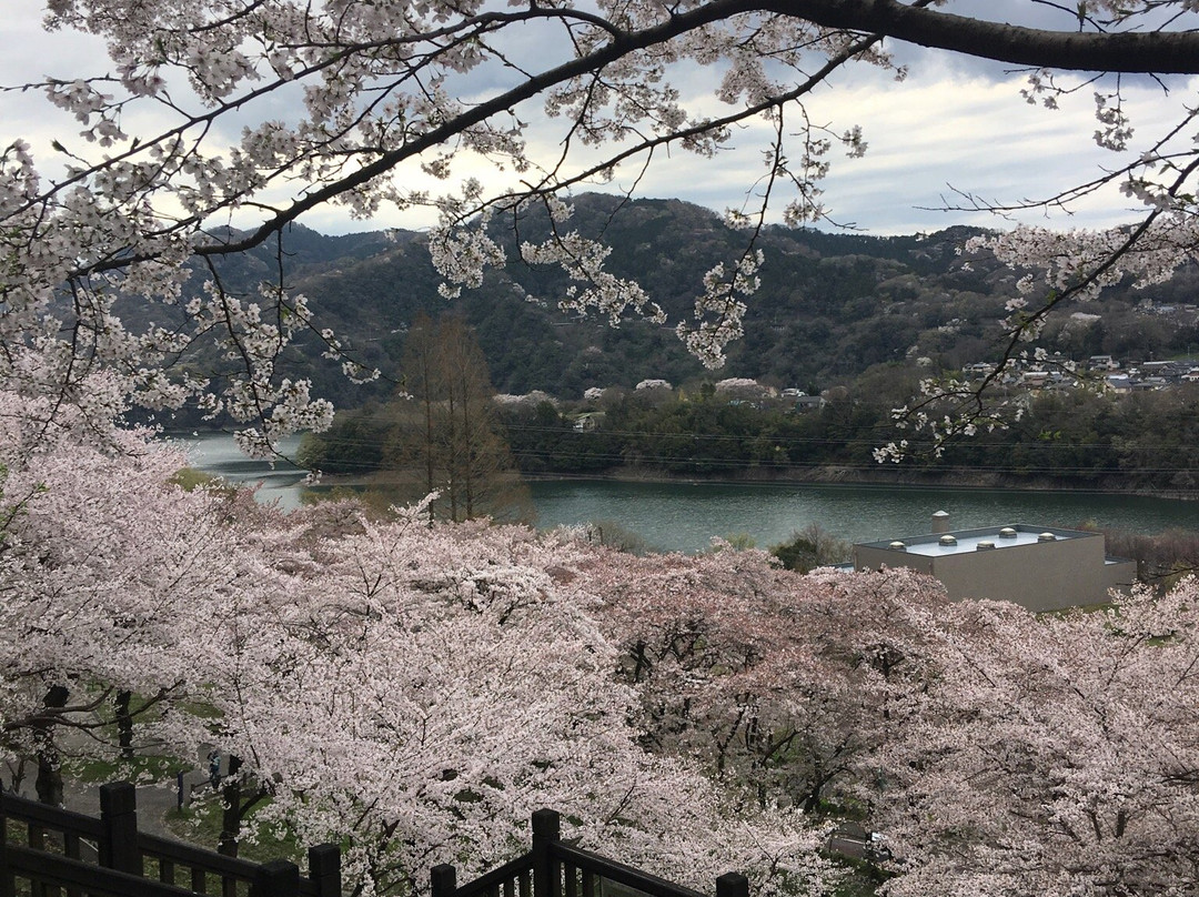 Kanagawa Prefectural Lake Tsukui Shiroyama Park, Water Garden, Flower Garden-相模原市必去景点