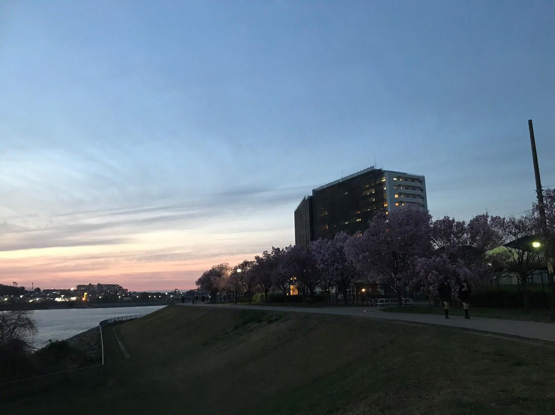 Sayamaike Park-大阪狭山市必去景点