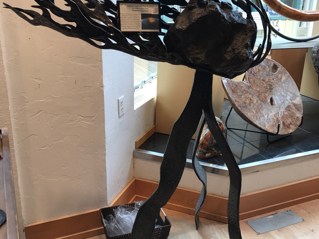 Wild By Nature Gallery-杰克逊必去景点