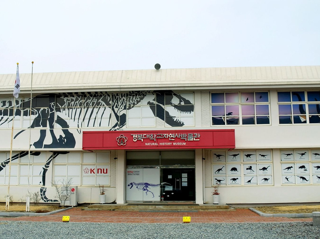 军威郡旅游景点-Kyungpook National University Natural History Museum