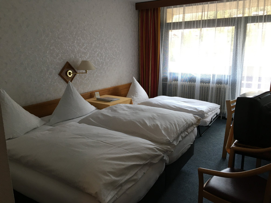 Hotel Bergfrieden主图