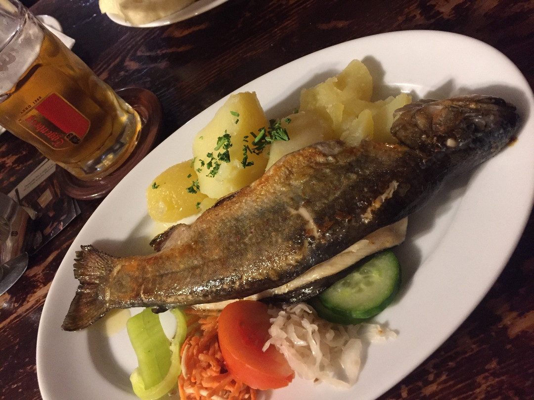 Kajovska hospoda - pension主图