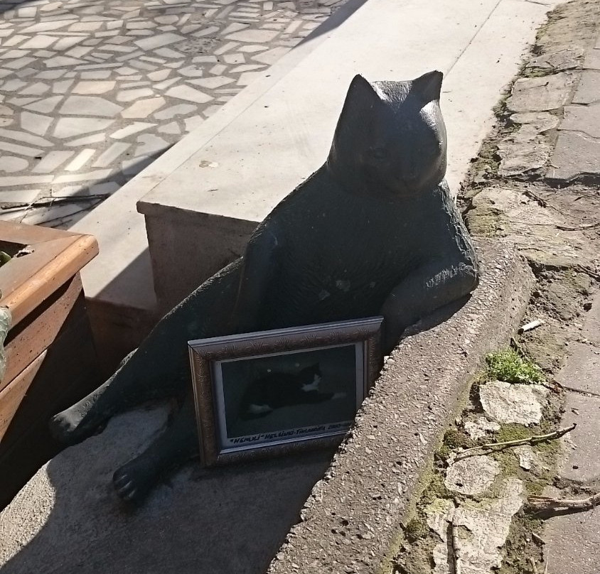 Monuemnt to the Cat Tombili-伊斯坦布尔必去景点