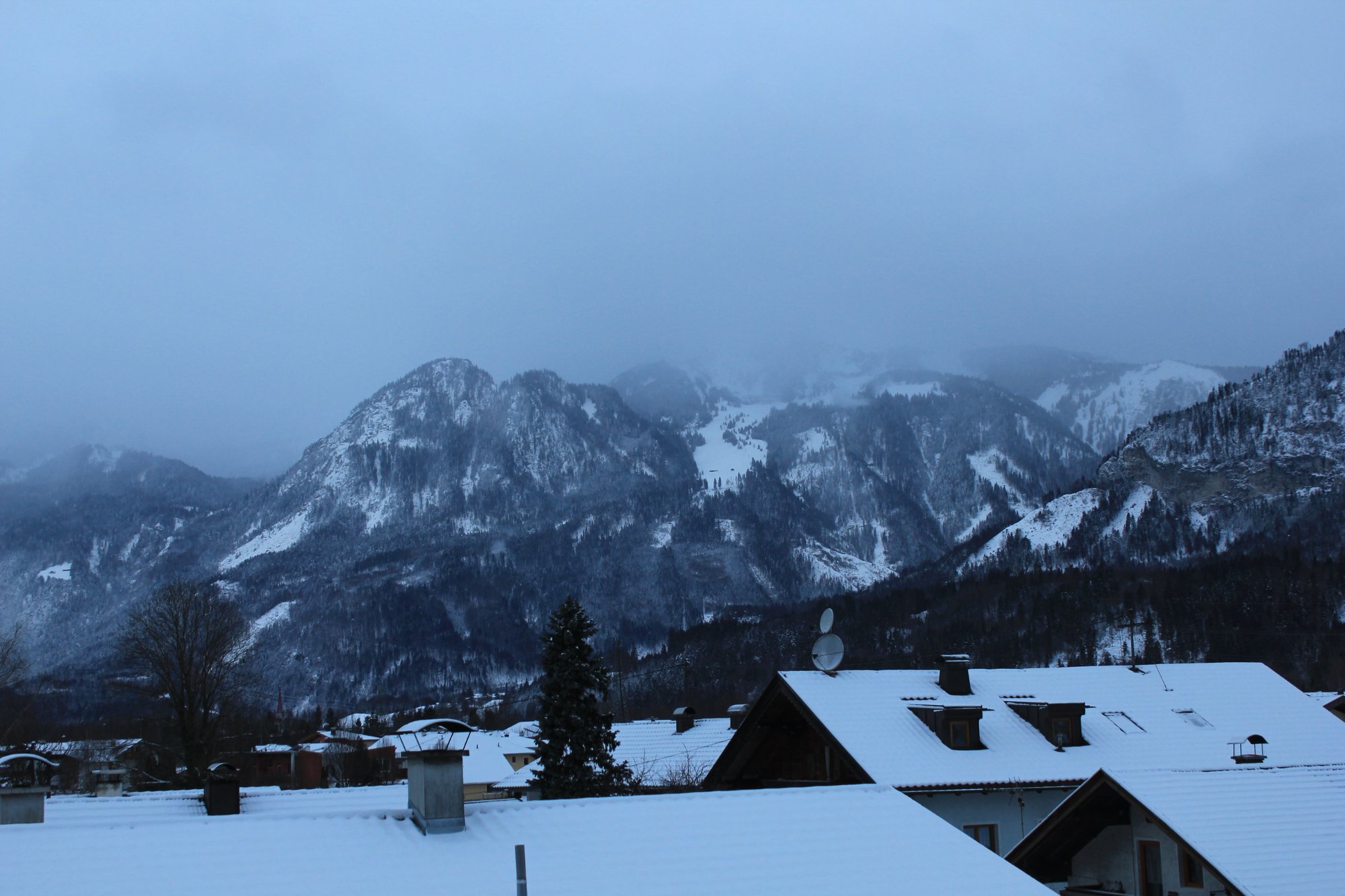 Gasthof Pension Alpenblick-酒店景观