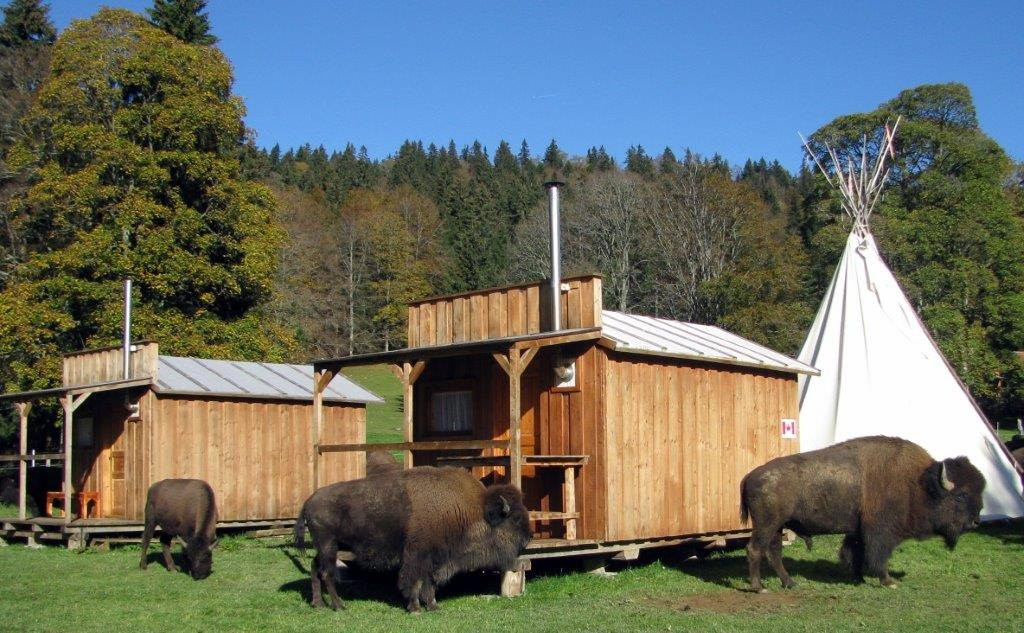 Bison Ranch