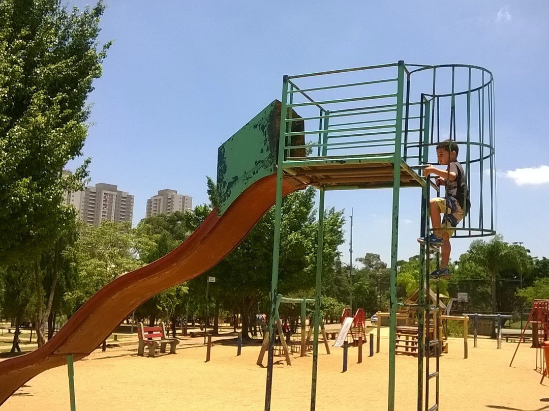 Bosque Maia-瓜鲁柳斯必去景点