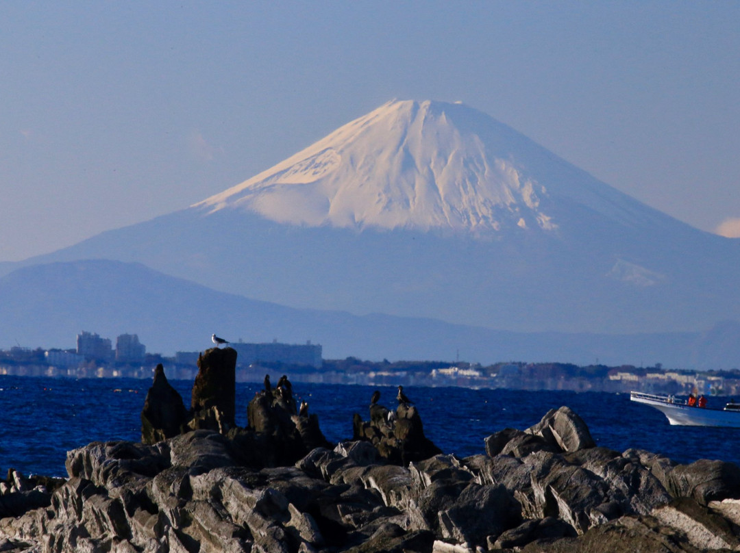 Cape Myogane-锯南町必去景点