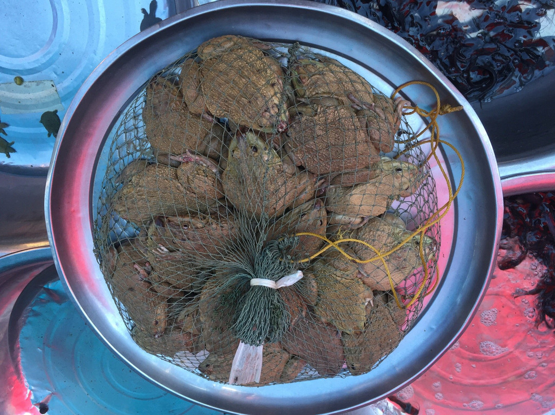 Hilltribe Market-湄索必去景点
