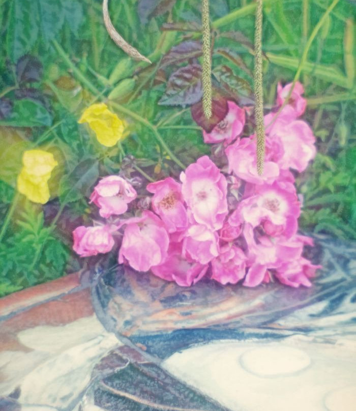 Victoria Park-北温哥华必去景点