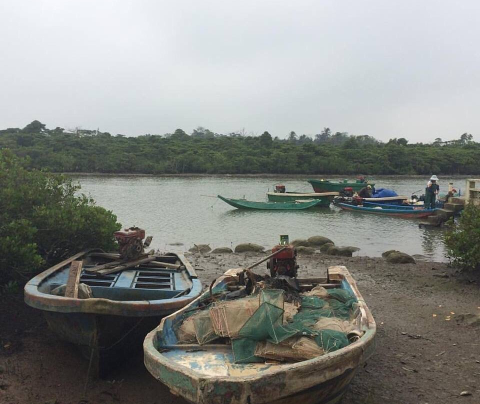 海口红树林-海口市必去景点