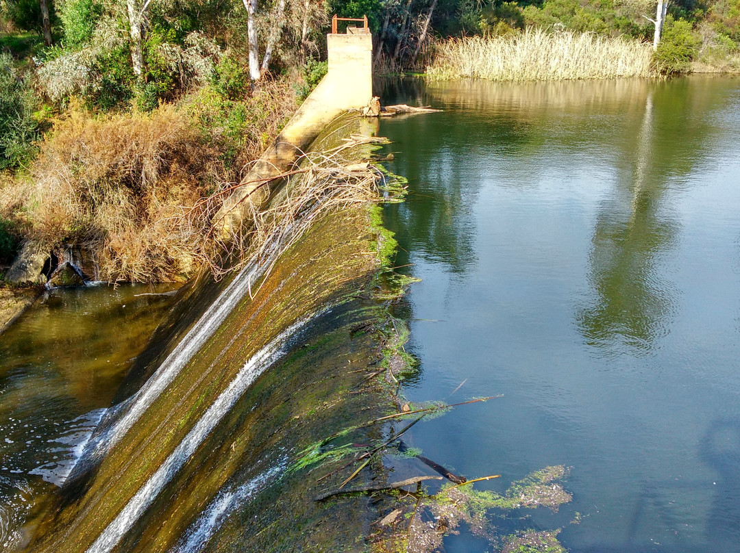 Embalse de Cabezas Rubias-韦尔瓦必去景点