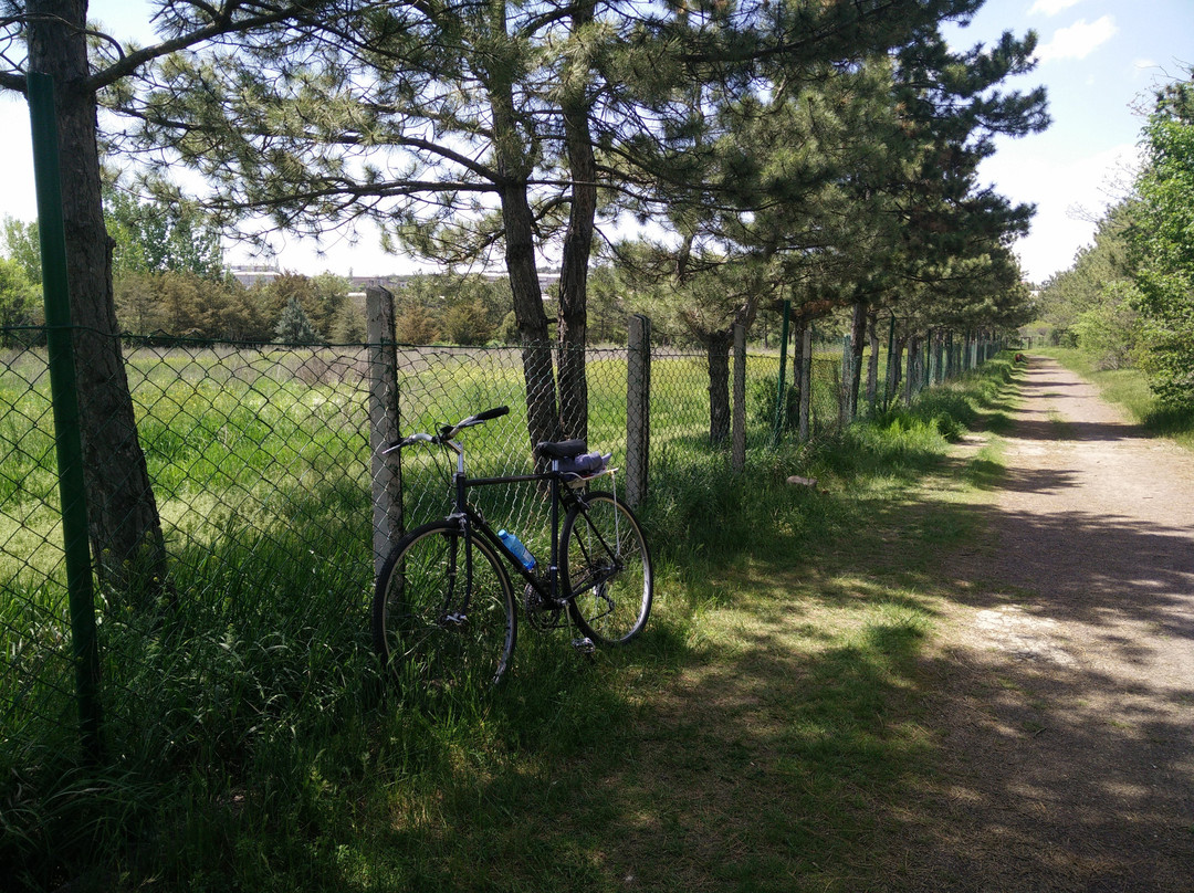 Yerevan Botanical Garden-埃里温必去景点
